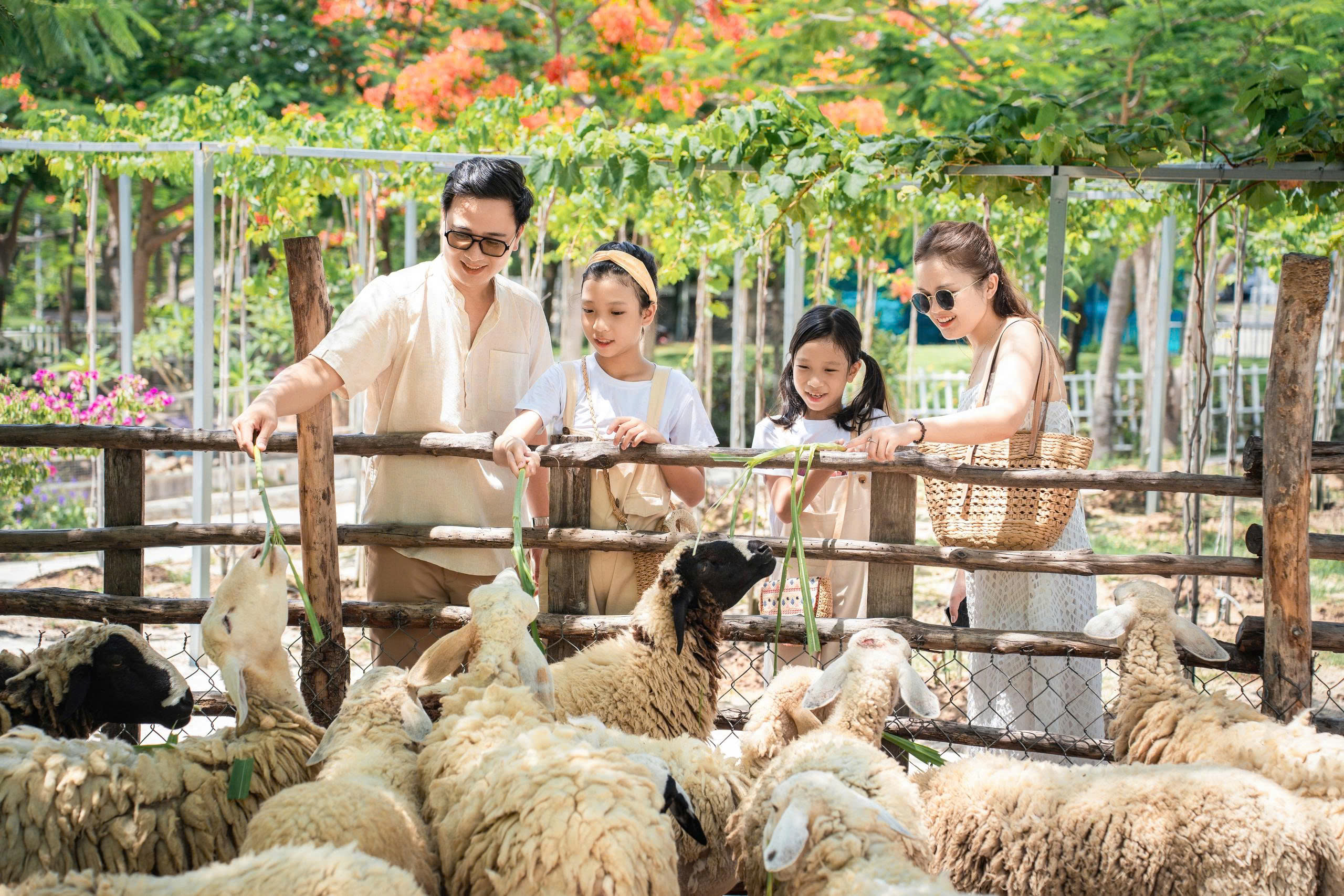 THAM QUAN TINY ZOO